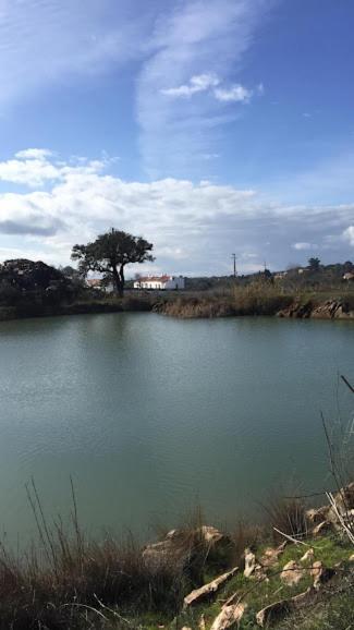 Herdade Da Maridona - Agroturismo เอสเตรมอซ ภายนอก รูปภาพ