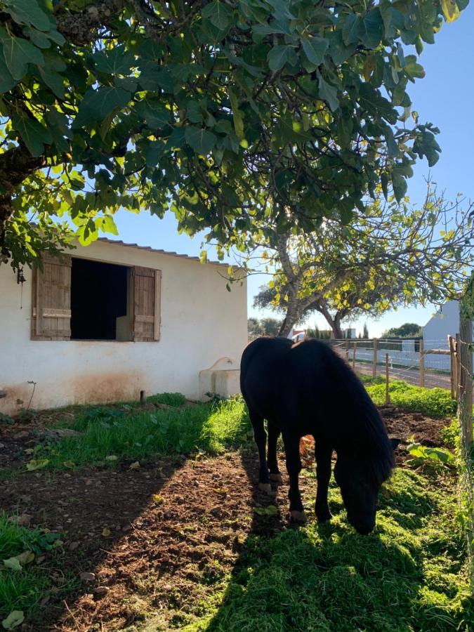Herdade Da Maridona - Agroturismo เอสเตรมอซ ภายนอก รูปภาพ